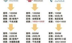 揭秘东莞电信宽带，电话号码与你的网络生活息息相关