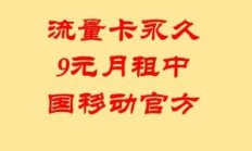 流量卡9.9元100g全国通用流量交费怎么交（流量卡9元月租）