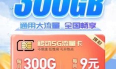 移动流量卡29.9元100g（移动流量卡299元300g全国通用）