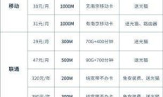 电信宽带1000兆，价格与性价比的双重考量