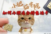 教你办理大流量卡
