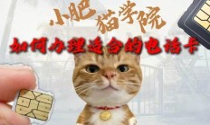 教你办理大流量卡