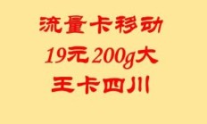 移动王卡（移动王卡有流量吗）