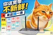 宽带办理指南：流程解析与优惠方案推荐