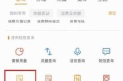 电信流量查询，如何轻松掌握流量信息？