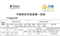 电信一年网费多少钱（电信上网多少钱一年）