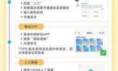 2025年出国后联通国际漫游如何开通？全流程亲测教程