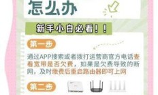 电信断网，问题与应对策略