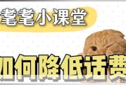 青年大学习：如何降低话费
