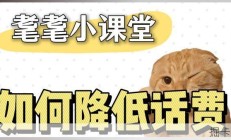 青年大学习：如何降低话费