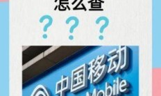 你的话费余额，真的只能靠10086来查吗？—— 聊聊那些被忽略的高效查询秘籍！