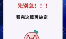 还在为流量不够用发愁？这些不限速套餐让你告别流量焦虑！