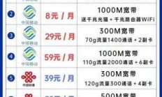 上海电信智能路由器搭配套餐，真的能让你家网速飞起来吗？