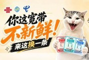 告别高价小流量套餐，粤苏宽带超值办理指南