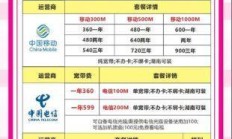 厦门电信300M光纤，线上预约真的能省心又省钱吗？