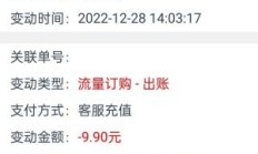 9.9纯流量卡（纯流量卡99元100g）