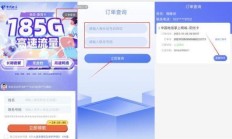 🍃 电信流量卡办理查询，你需要的全攻略