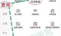北京联通查话费，从基础到高级的全方位指南