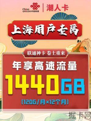 网络宽带与流量卡的世界，官场小说的巅峰之旅