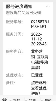 山东移动网上营业厅详单查询（山东移动网上营业厅详单查询不到）