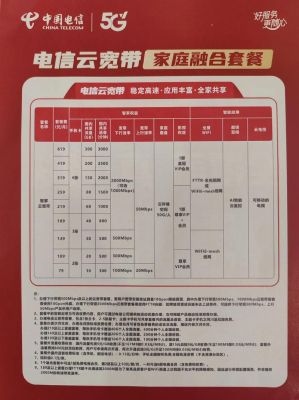 电信不限量套餐（电信不限量套餐超过20g被限速怎么办）