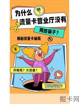 大宝卡，网络时代的流量新宠，你了解多少？