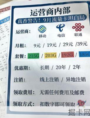 电信流量卡资费套餐到底怎么选？这份避坑指南让你省心又省钱！